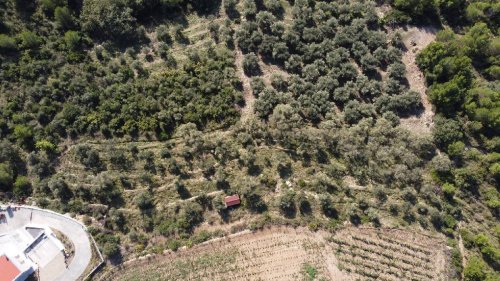 Terreno agrícola en Cervo