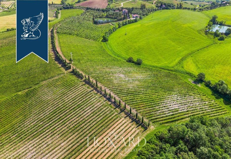 Boerenbedrijf in Manciano