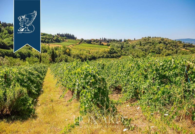 Exploitation agricole à Certaldo