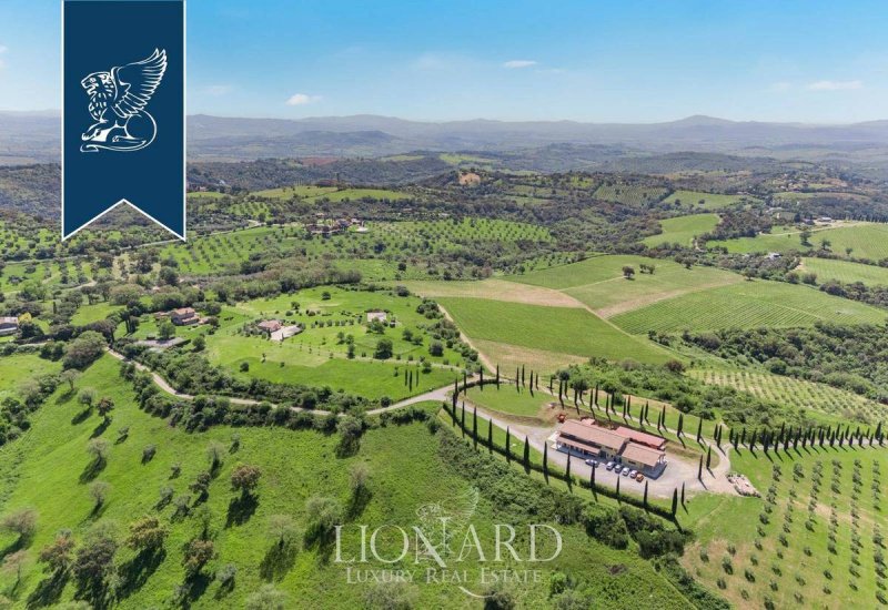 Boerenbedrijf in Magliano in Toscana