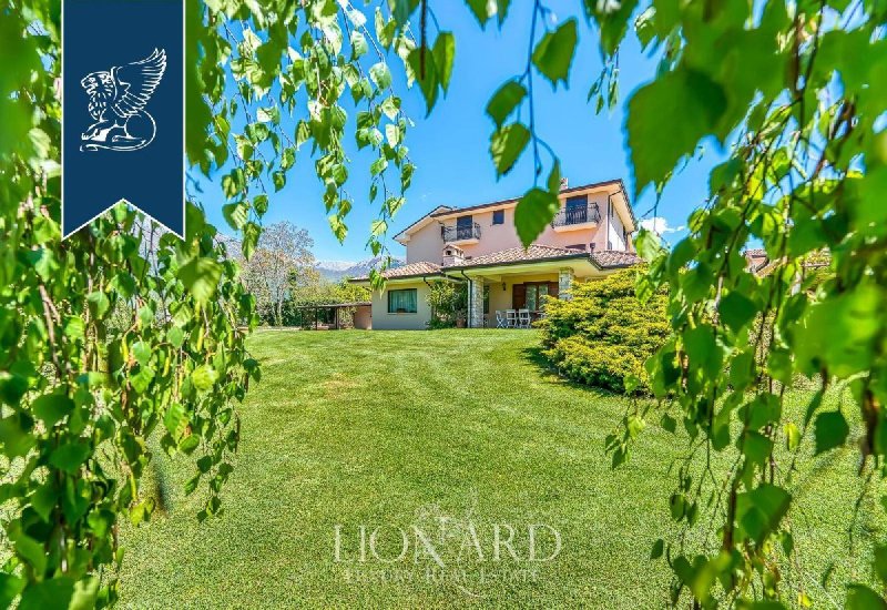 阿尔维托农业公司