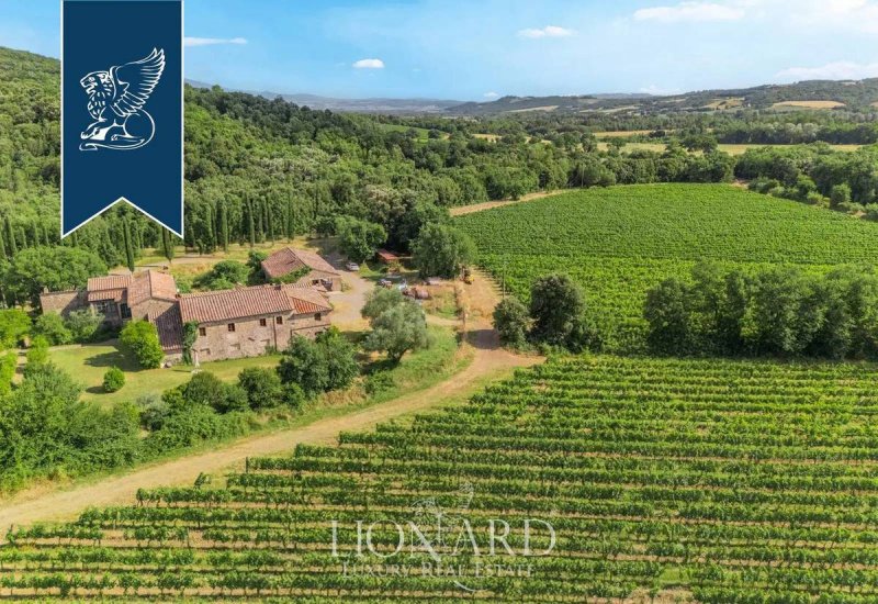 Lantgård i Montalcino