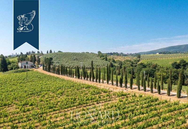 Azienda agricola a San Gimignano