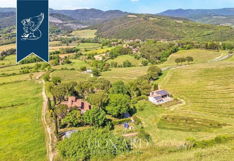 Farm in Montescudaio