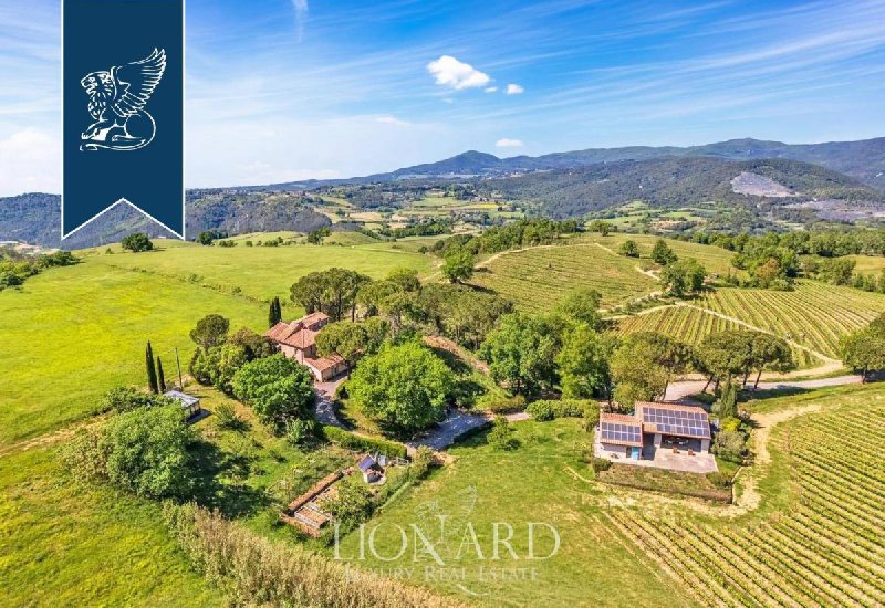 Farm in Montescudaio
