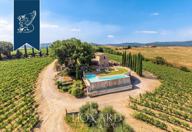 Exploitation agricole à Montalcino