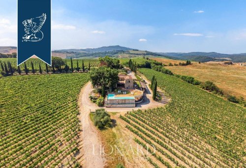 Exploitation agricole à Montalcino