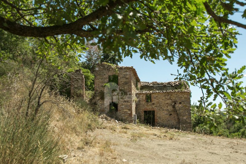 Bauernhaus in Parrano