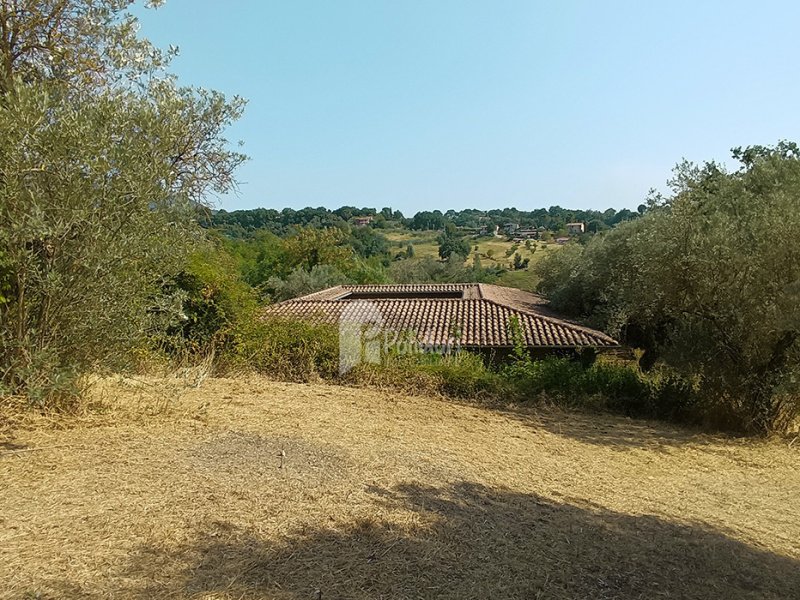 Landhaus in Poggio Catino