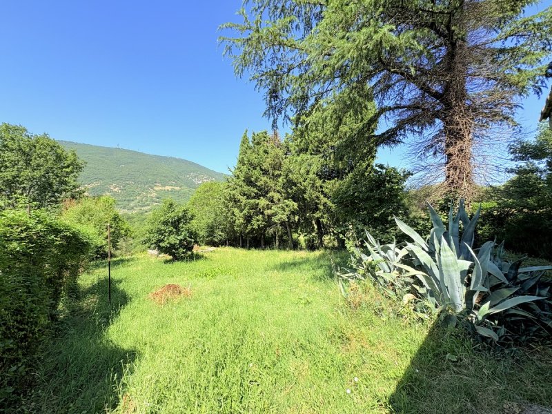 科塔内洛乡间房屋