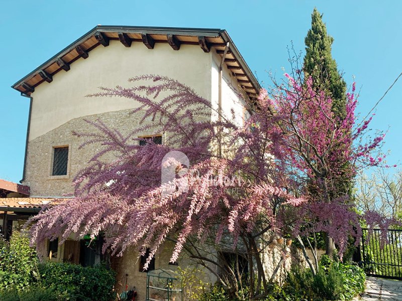 Bauernhaus in Rocca Sinibalda