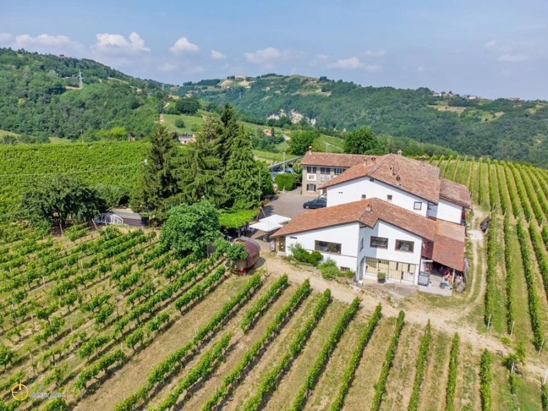 Farm in Canelli
