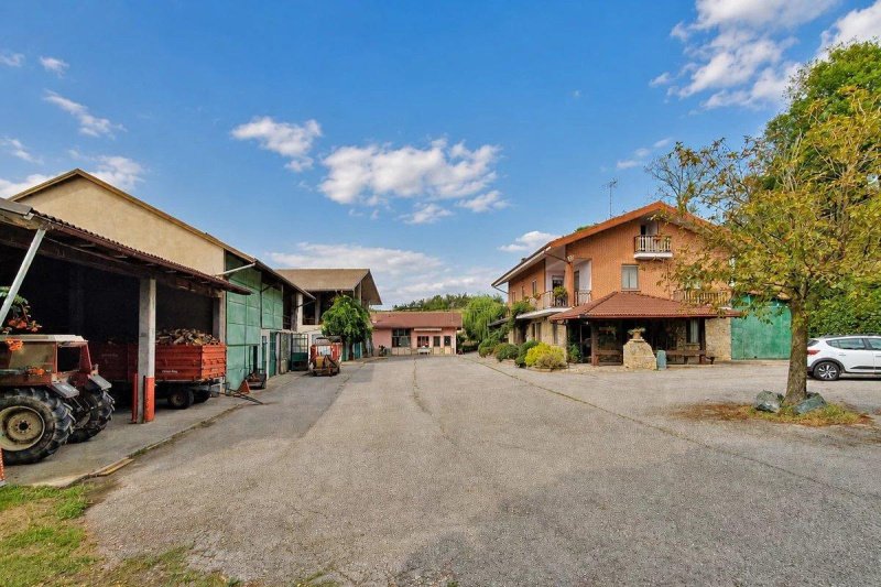 Boerenbedrijf in Murazzano