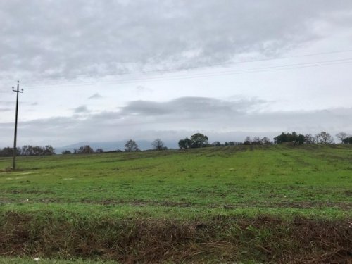 Terreno agrícola en Pitigliano