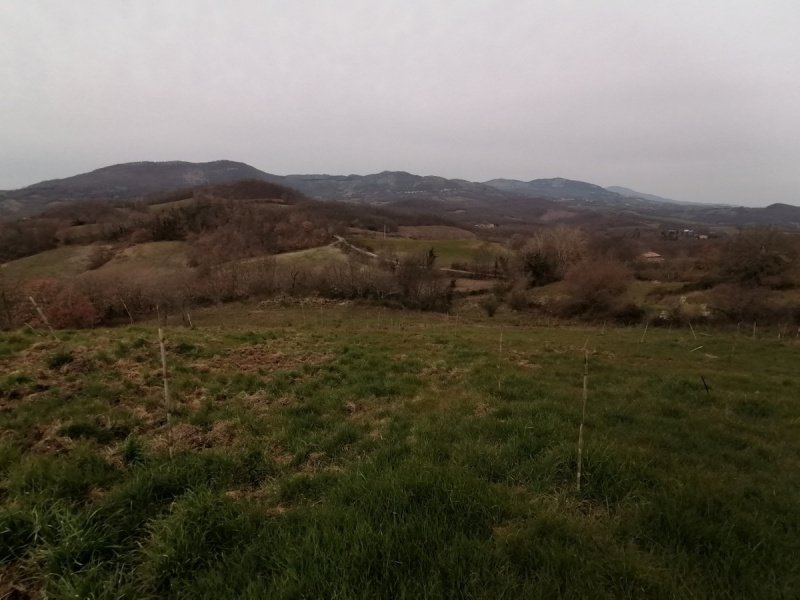 Landwirtschaftliche Fläche in Sorano