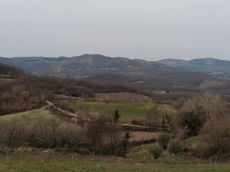 Landwirtschaftliche Fläche in Sorano