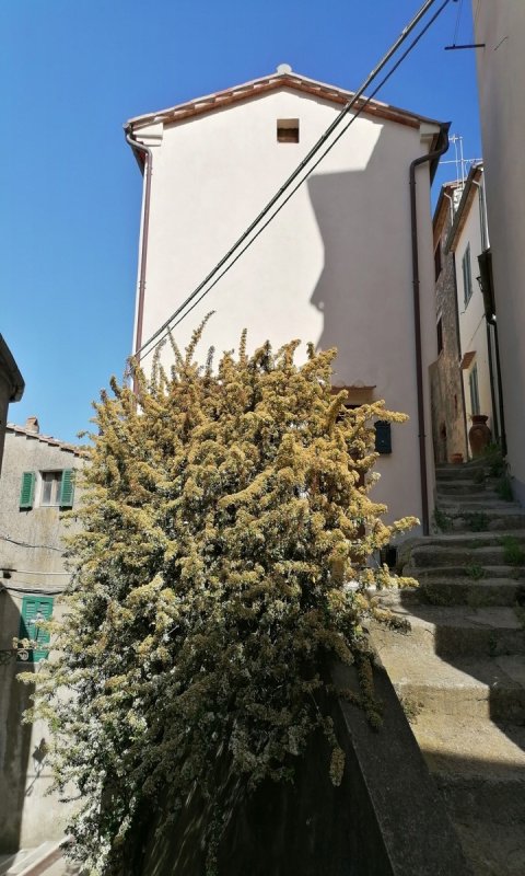Appartement in Semproniano