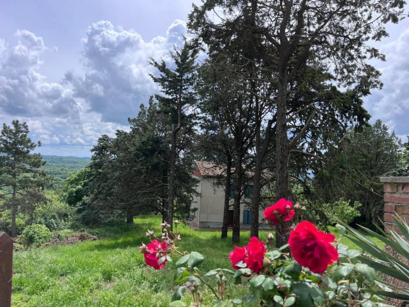 Klein huisje op het platteland in Sorano