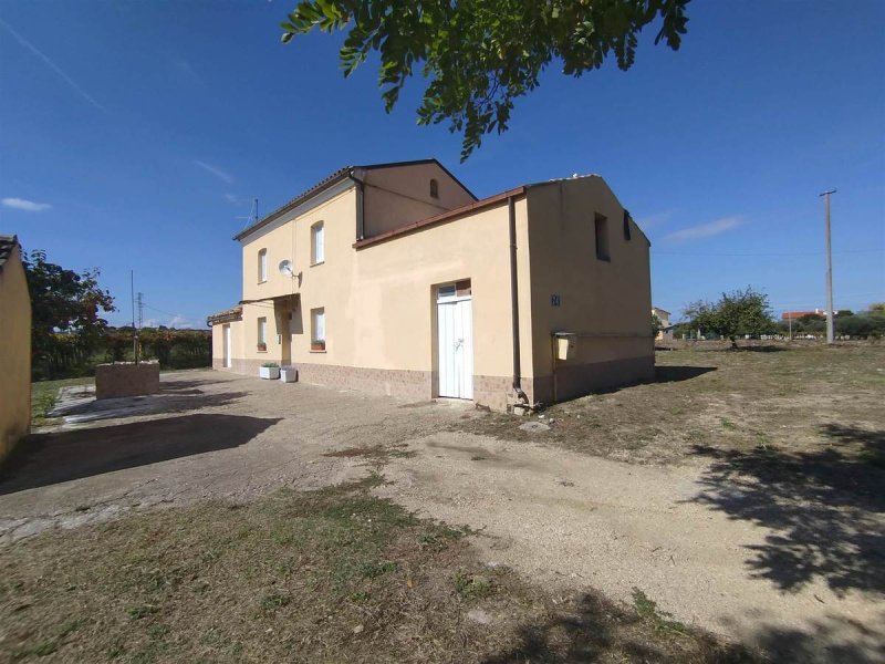 Lantställe i Scerni