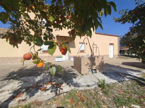 Klein huisje op het platteland in Scerni