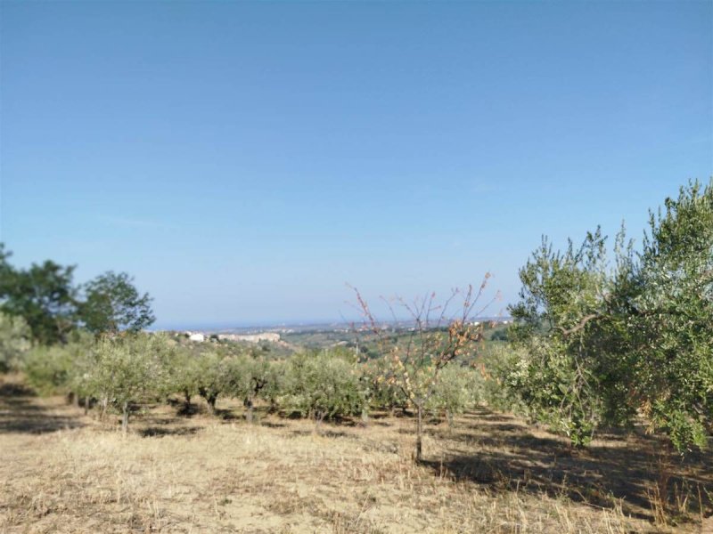 Bouwgrond in Pollutri