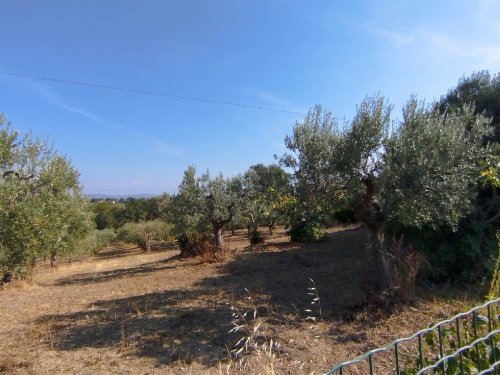 Bouwgrond in Pollutri