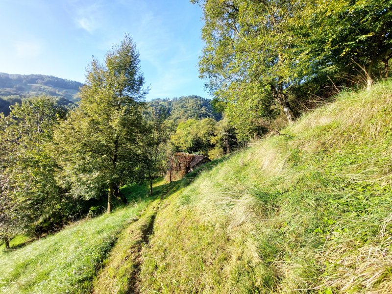 Lantställe i Pertica Bassa