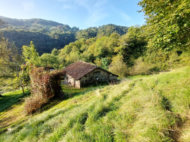 Lantställe i Pertica Bassa