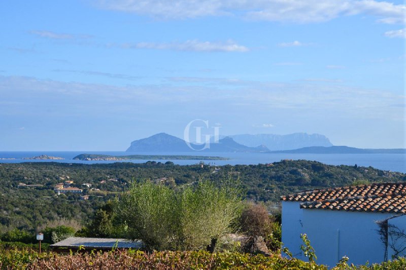 Villa in Arzachena