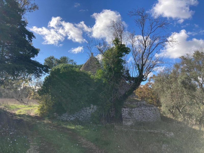 Trullo en Ceglie Messapica