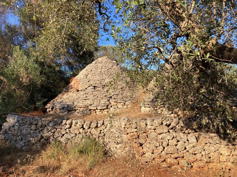 Trullo a Francavilla Fontana