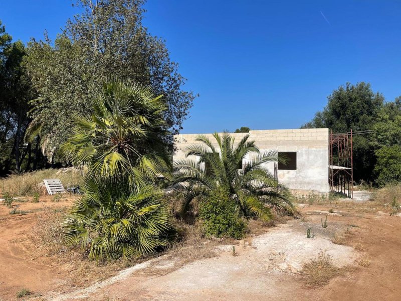 切列梅萨皮卡农舍