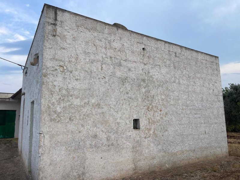 Lamia en Ceglie Messapica