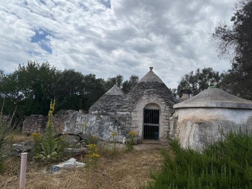 切列梅萨皮卡特魯洛
