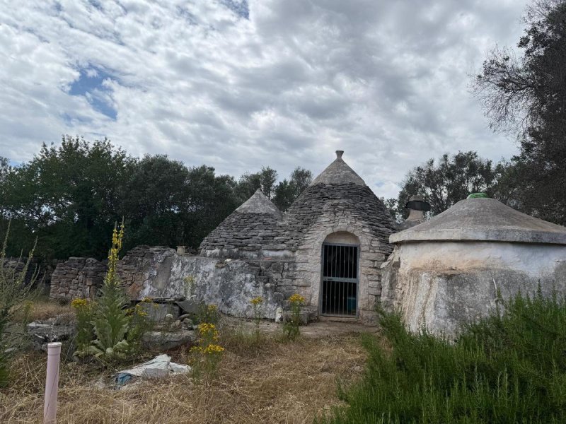 切列梅萨皮卡特魯洛