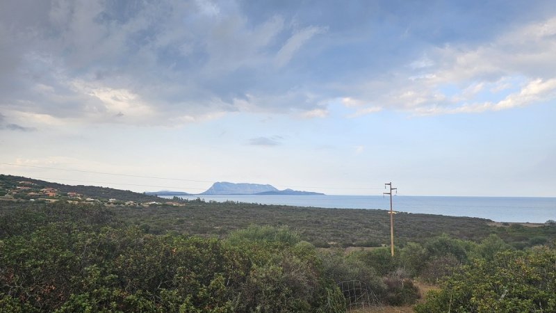 Gehucht in San Teodoro