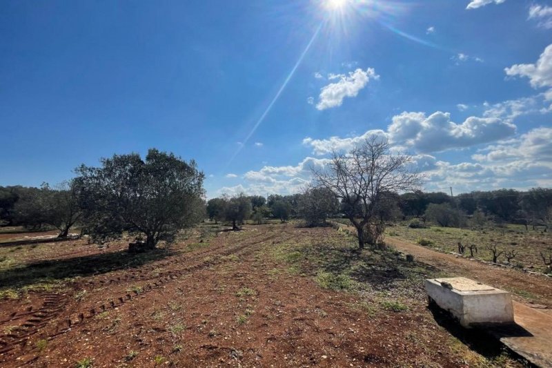 Trullo i Ostuni