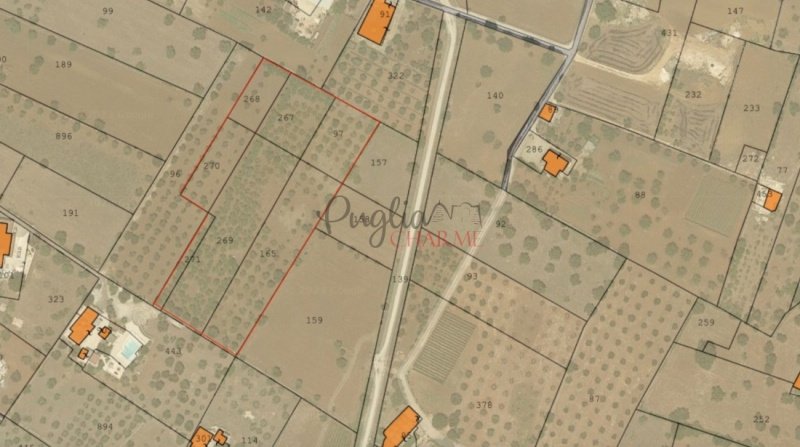 Building plot in Ostuni