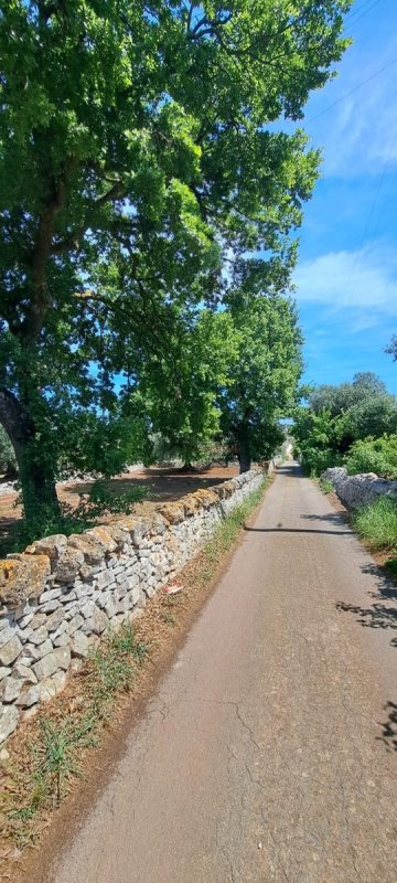 Masseria à Cisternino