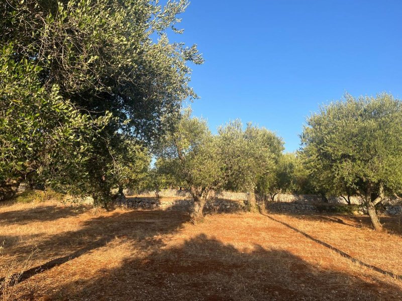 Terreno edificabile a Ostuni