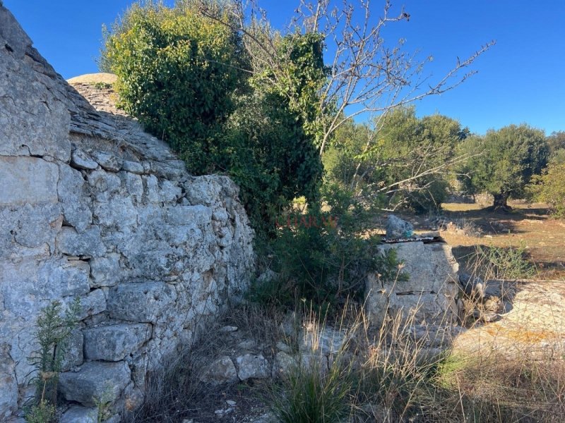 Trullo a Ceglie Messapica