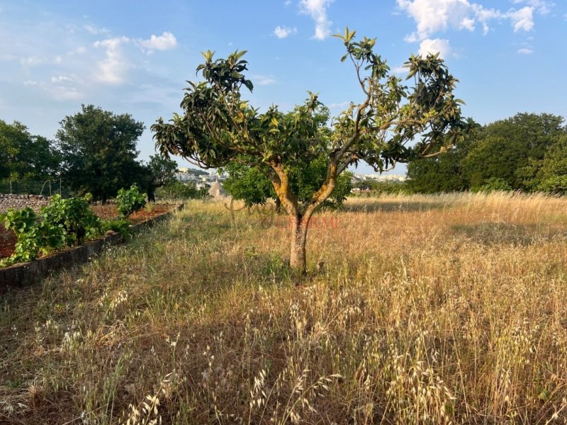 奇斯泰尼诺乡间房屋