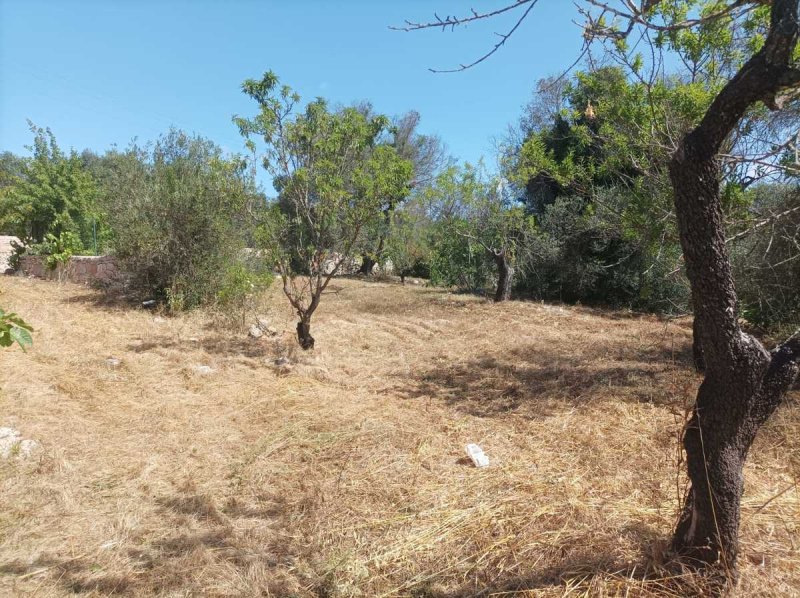 Byggtomt i Ostuni