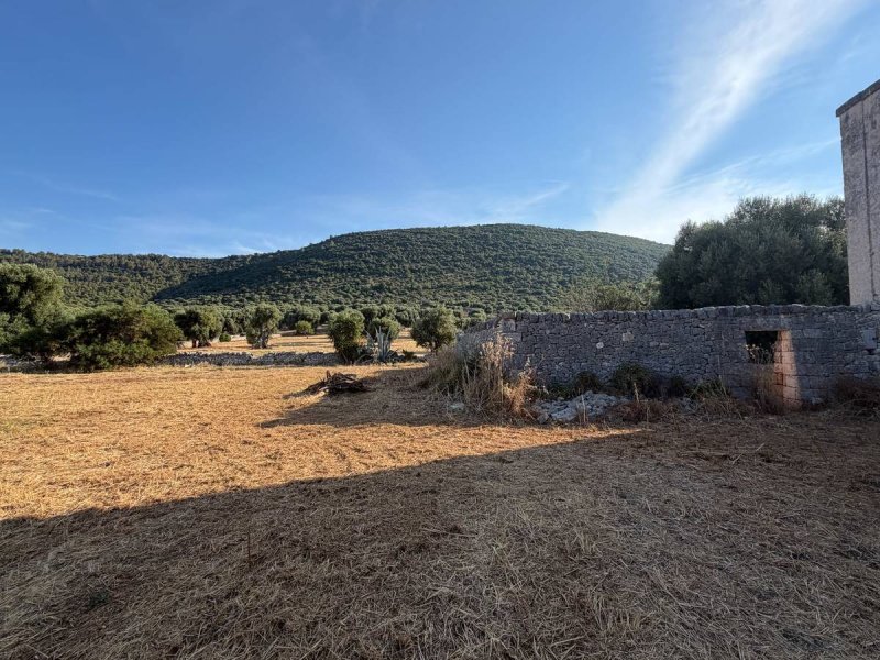 Masseria in Cisternino