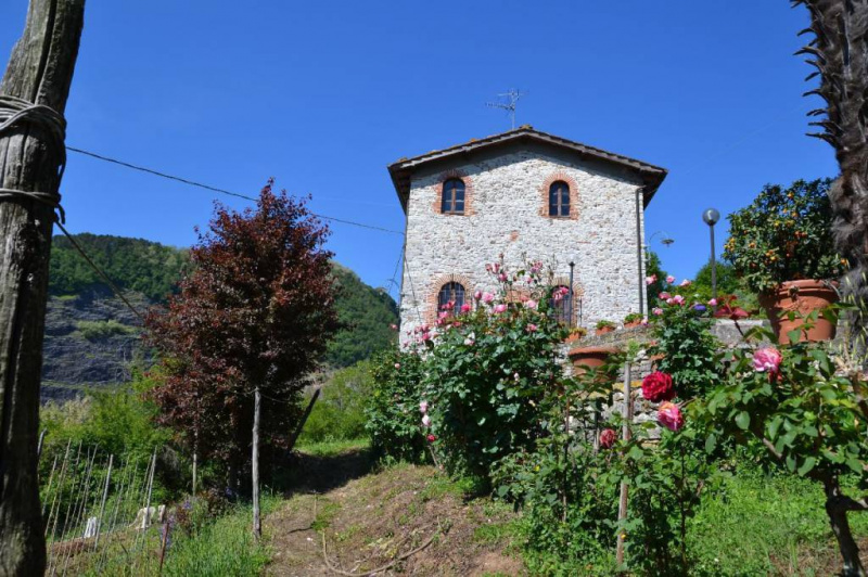 Farmhouse in Lucca