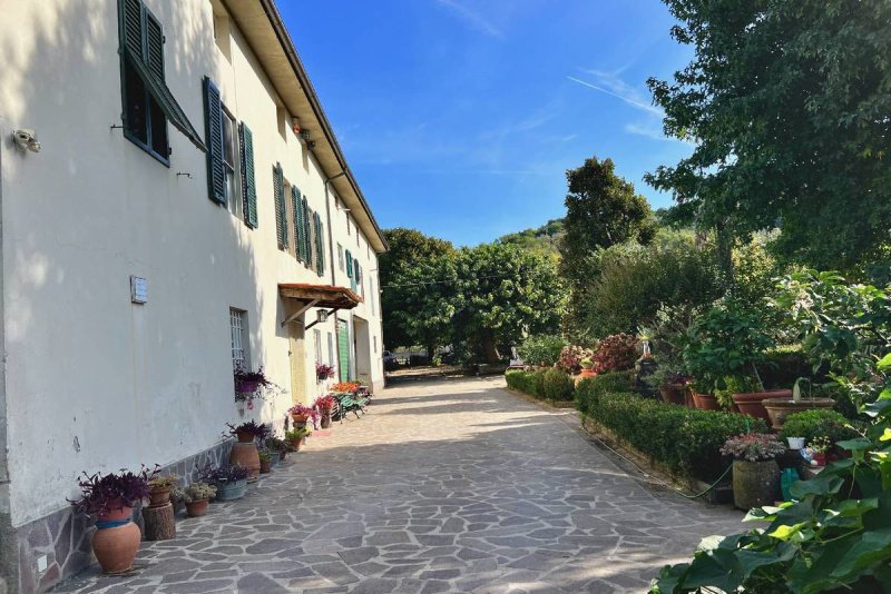 Bauernhaus in Capannori