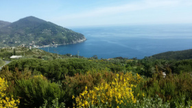 Terreno agrícola em Levanto