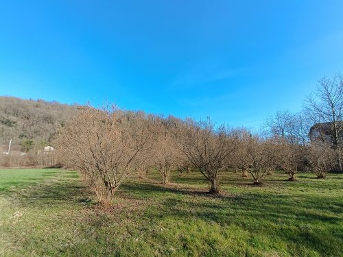 Terrain agricole à Brusasco