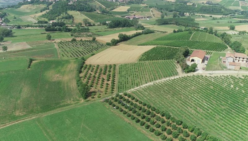 Quinta agrícola em Isola d'Asti