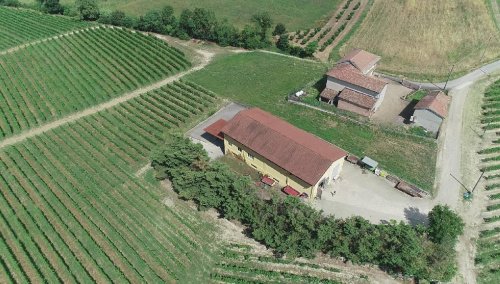 伊索拉-达斯蒂农业公司